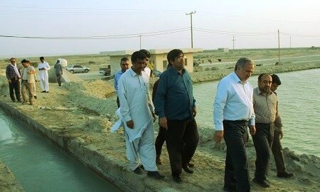 همه زیر ساخت ها برای جهش تولید میگو در گواتر چابهار آماده است